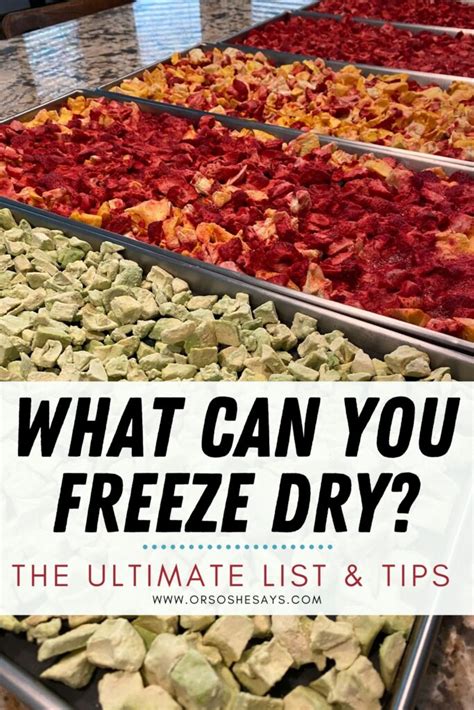 moisture meters for freeze dried food|freeze dry food stores.